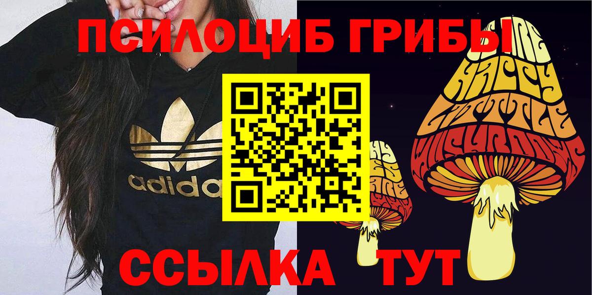 Псилоцибиновые грибы ЛСД Серов