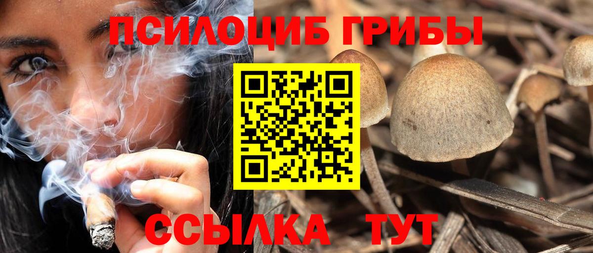 Серов  Псилоцибиновые грибы ЛСД  Вход с VPN 